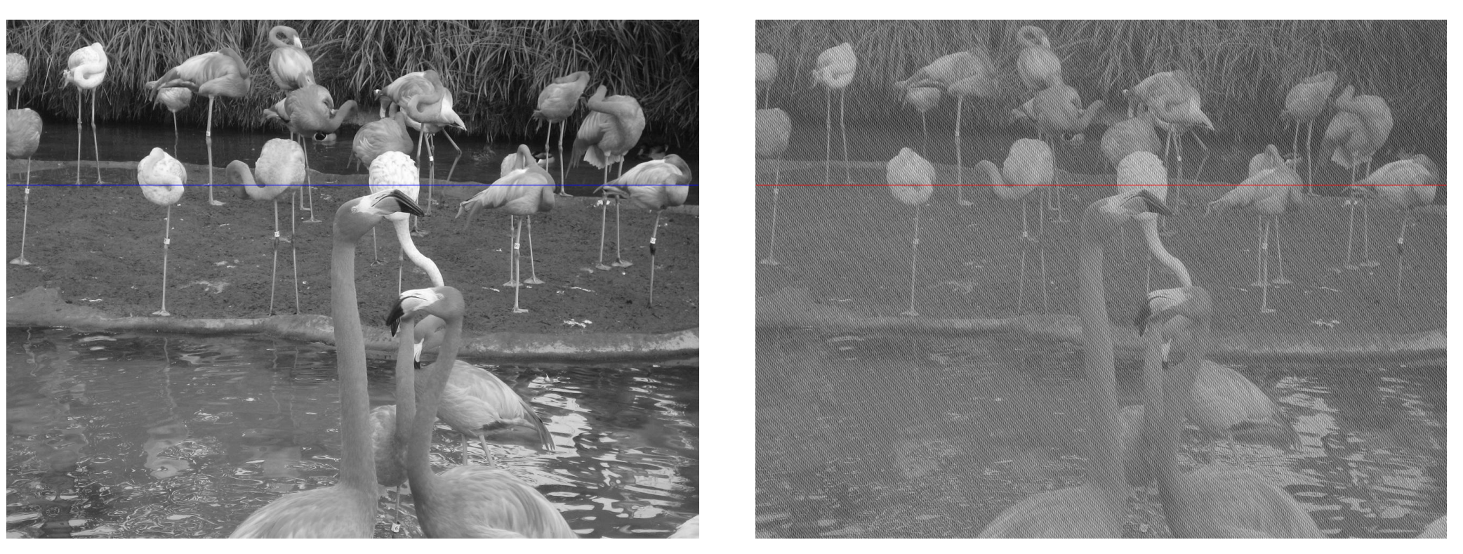 Image Reconstruction